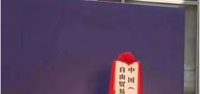 临港新片区揭牌，谁拿到了001号营业执照？