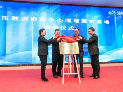 临港新片区普惠金融再添重要举措，新片区担保公司正式揭牌！
