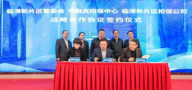 临港新片区普惠金融再添重要举措，新片区担保公司正式揭牌！