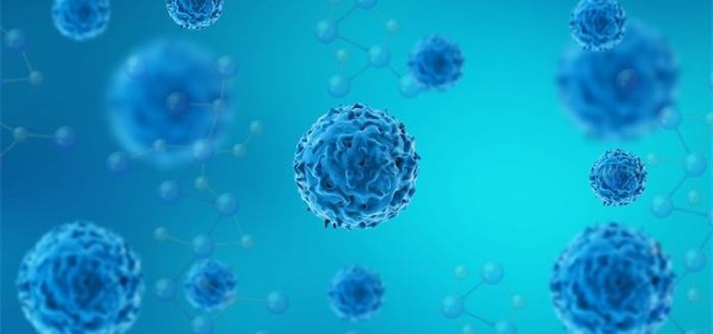 首次证明！动物释放的 DNA 可从空气中收集，法医鉴定和环境评估更轻松了