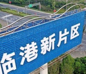 虽然政府针对临港地区的落户放宽，但是我不看好。