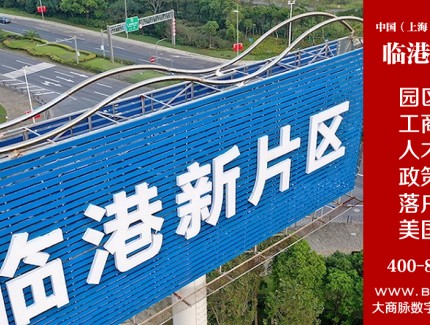 中国上海自贸区临港新片区招商服务