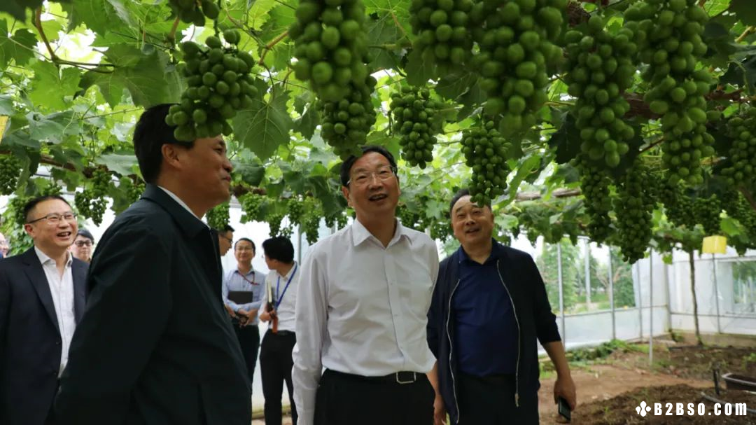 （Web Pic）20210602_01.png