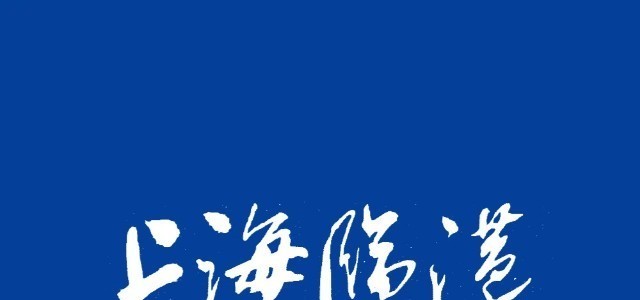 新起点，新蓝图，南汇新城“十四五”建设目标看这里