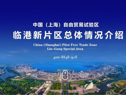 中国上海自由贸易试验区临港新片区总体介绍202108