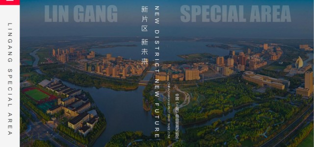 中国上海自由贸易试验区临港新片区总体介绍202108（2）金融政策2.0