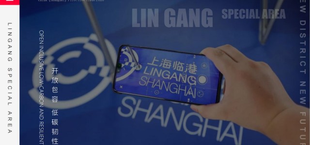 中国上海自由贸易试验区临港新片区总体介绍202108（2）城市配套
