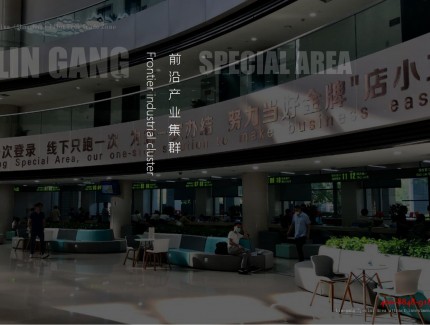 中国上海自由贸易试验区临港新片区总体介绍202108（2）十四五规划参考