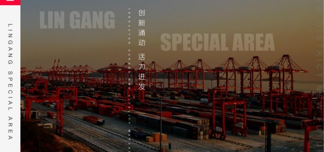 中国上海自由贸易试验区临港新片区总体介绍202108（2）产业布局参考