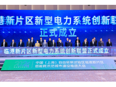 加快推进新型电力系统建设，新片区低能耗示范城市建设推进大会今日召开